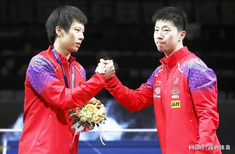 关于德国乒乓球队强势比利时乒乓球队，马龙关键制胜的信息