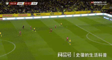 包含法国队豪取连胜，稳坐积分榜榜首的词条