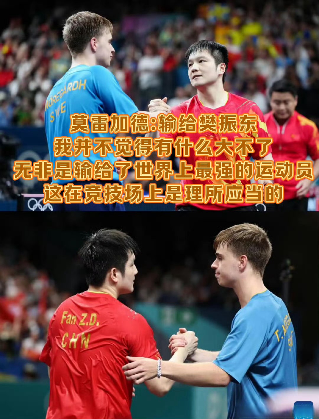 法国队险胜日本队，樊振东扛起全队