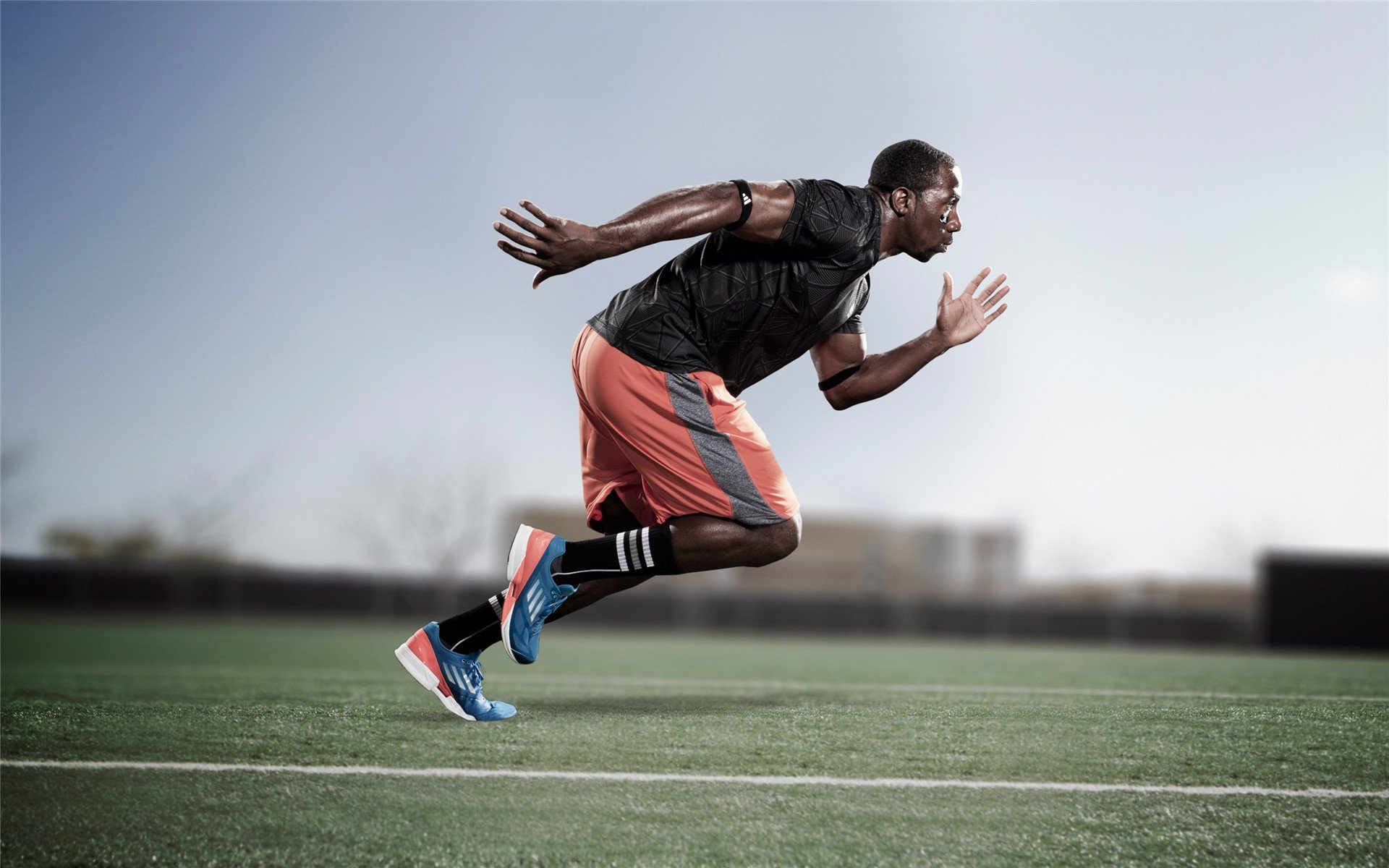 武切维奇独木成林，上海男篮力克国王终结连败