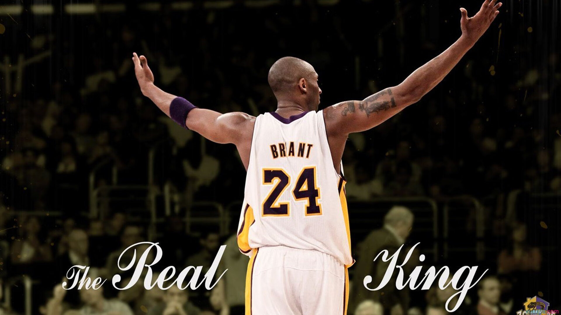 克莱·汤普森全场最佳无争议,上海队展现惊人压制力击败凯尔特人