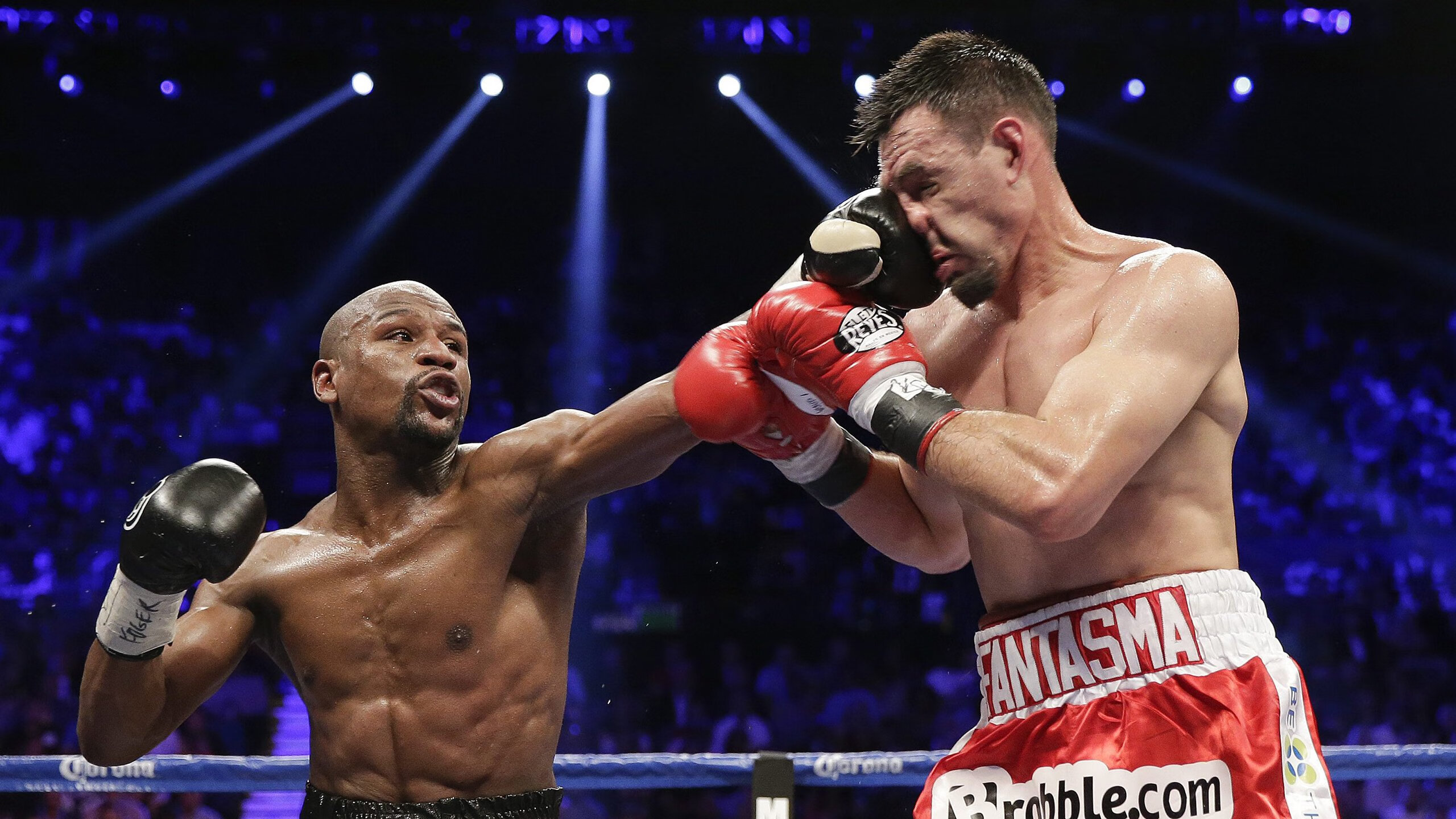 塔图姆末节接管比赛,黄蜂斩落广东队